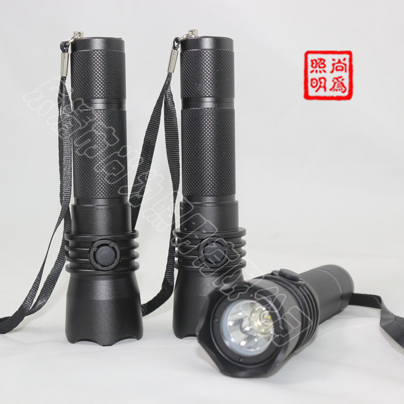 SW2101�aƷ����DƬ