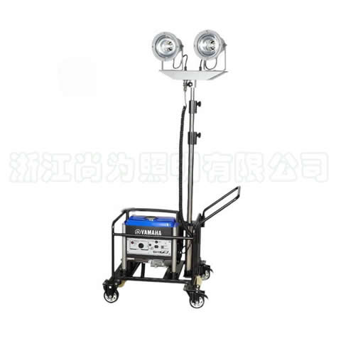 SW2920�p������������