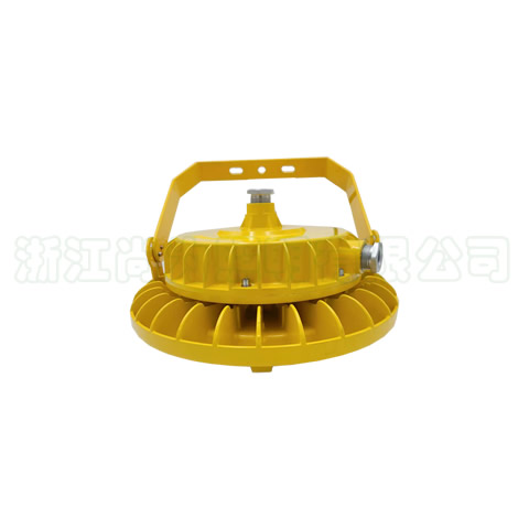 SZSW8220����LED������